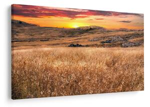 Obraz pole (90x60 cm)