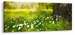Obraz paseky a kvetín (120x50 cm)