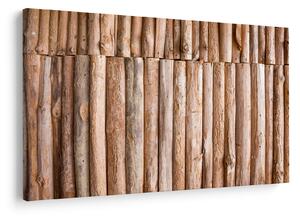 Obraz - Bambus (90x60 cm)