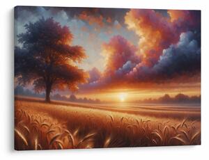 Obraz – Západ slnka na poli (70x50 cm)