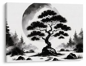 Obraz – Čiernobiela bonsai (70x50 cm)
