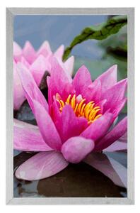 Plagát ružový lotosový kvet - 20x30 silver