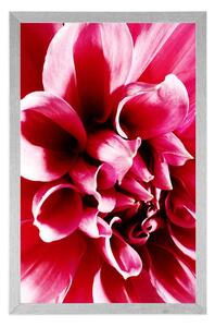 Plagát ružový kvet - 20x30 white