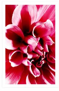 Plagát ružový kvet - 20x30 white