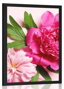 Plagát pivonky v ružovej farbe - 20x30 black