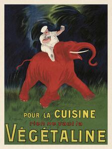 Umelecká tlač Végétaline (Vintage Ad Ft. Elephant) - Leonetto Cappiello, (30 x 40 cm)