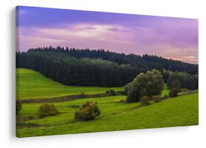 Obraz lúky (90x60 cm)