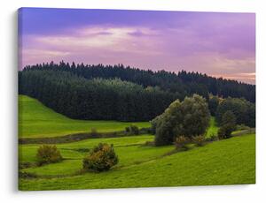 Obraz lúky (70x50 cm)