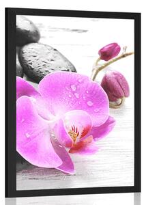 Plagát kúzelná súhra kameňov a orchidey - 20x30 black