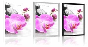 Plagát kúzelná súhra kameňov a orchidey - 20x30 black