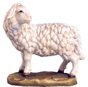 Pozerajúca sa ovca pre betlehem - farmarský