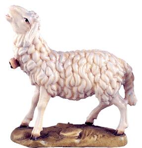 Bľačiaca ovca pre betlehem - farmarský