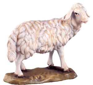 Stojaca ovca pre betlehem - farmarský