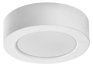 Rabalux SHAUN PLUS LED vonkajšie stropné svietidlo 75071