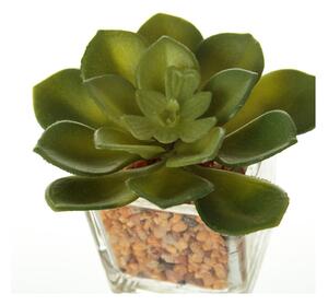 Umelé rastliny v súprave 6 ks (výška 8 cm) Cactus – Casa Selección