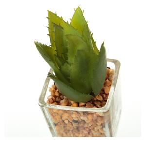 Umelé rastliny v súprave 6 ks (výška 8 cm) Cactus – Casa Selección