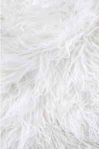 Biela kožušina z tibetskej ovce Selection, 60 x 90 cm