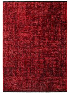 Ayyildiz , AKCIA: 80x150 cm Kusový koberec Space 1900 red, červená, chodba / predsieň