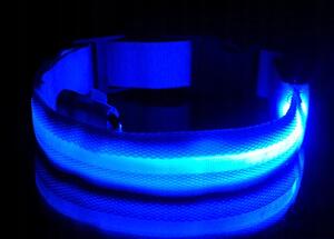 Modrý LED obojok pre psa/mačku DUKE - rôzne veľkosti Veľkosť: S