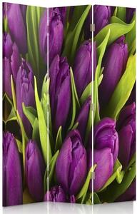 Paraván Fialové tulipány Rozmery: 110 x 170 cm, Prevedenie: Klasický paraván