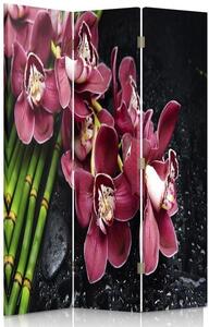 Paraván Orchidea s bambusom Rozmery: 110 x 170 cm, Prevedenie: Klasický paraván
