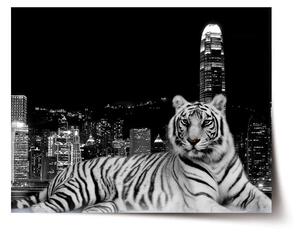 Sablio Plagát Mestský tiger - 60x40 cm