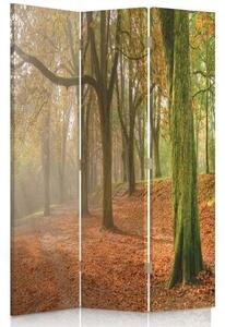 Paraván Jeseň v lese Rozmery: 110 x 170 cm, Prevedenie: Klasický paraván
