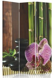Paraván Kamienky a orchidey Rozmery: 110 x 170 cm, Prevedenie: Klasický paraván