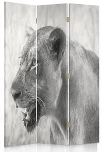 Paraván Lioness Rozmery: 110 x 170 cm, Prevedenie: Klasický paraván