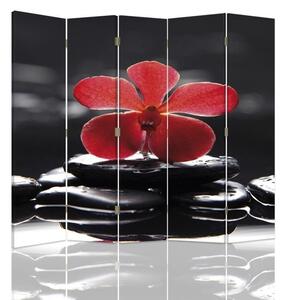 Paraván Zen s červenou orchideou Rozmery: 180 x 170 cm, Prevedenie: Klasický paraván