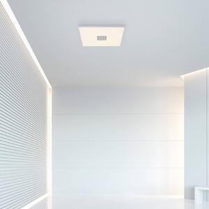Paul Neuhaus Pure-Neo stropné LED svetlo 45x45 cm