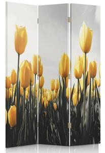 Paraván Lúka žltých tulipánov Rozmery: 110 x 170 cm, Prevedenie: Klasický paraván
