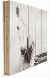 Drevená ceduľa 50x50 cm Horse - Graham & Brown