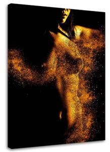 Obraz na plátně Ženský akt ve zlatém prachu - 40x60 cm