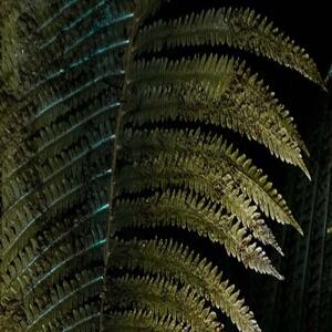 Ozdobný paraván Listy rostliny - 110x170 cm, trojdielny, klasický paraván