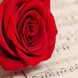 Ozdobný paraván Červená růže květ hudby - 145x170 cm, štvordielny, klasický paraván