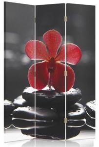 Ozdobný paraván Kamenná orchidej - 110x170 cm, trojdielny, klasický paraván
