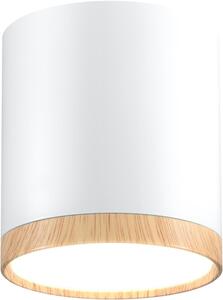 Candellux Tuba stropné svietidlo 1x5 W biela-drevená 2273624