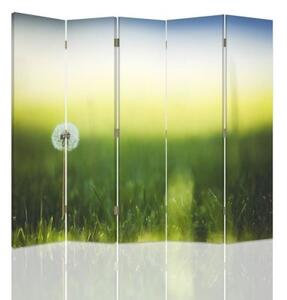 Ozdobný paraván, Pampeliška v zelené trávě - 180x170 cm, päťdielny, klasický paraván