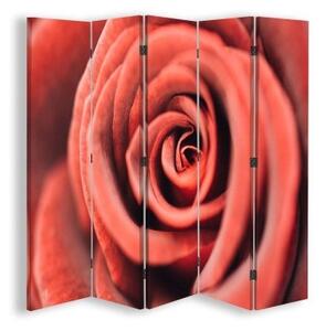 Ozdobný paraván, Květ růže v makroměřítku - 180x170 cm, päťdielny, klasický paraván