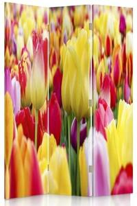 Ozdobný paraván, Pestrobarevné tulipány - 110x170 cm, trojdielny, klasický paraván