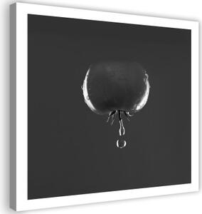 Obraz na plátně, Kapka vody z rajčat a zeleniny - 30x30 cm