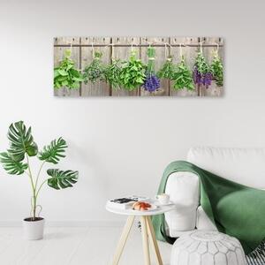 Obraz na plátně, Kuchyňské bylinky Koření - 90x30 cm