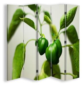 Ozdobný paraván Paprika listová zelená - 180x170 cm, päťdielny, klasický paraván