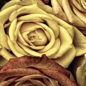 Ozdobný paraván Růže Květiny Žlutá - 180x170 cm, päťdielny, klasický paraván