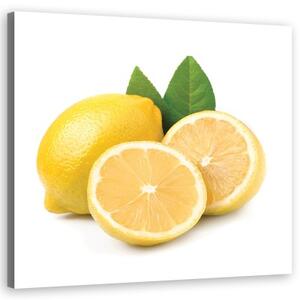 Obraz na plátně, Citron ovoce - 30x30 cm