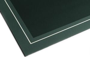 Aqualine Kúpeľňová predložka 50x80cm, absorpčná, zelená