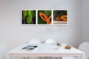 Obraz na plátně Papaya panoráma - 90x30 cm