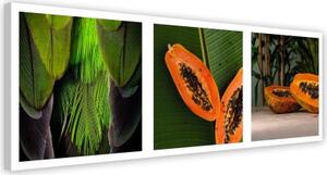Obraz na plátně Papaya panoráma - 90x30 cm