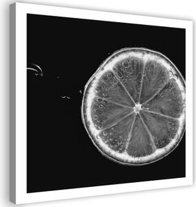 Obraz na plátně Černý a bílý citron - 40x40 cm